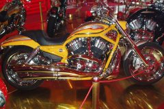 customrace_img1629